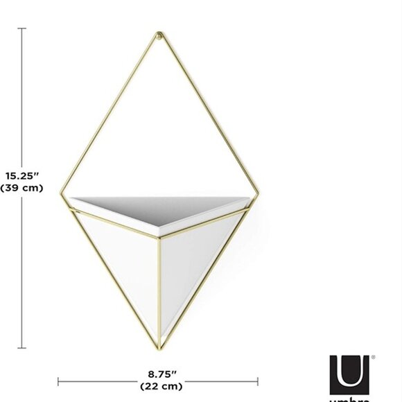NEW  Hanging Planter Vase Wall Decor, Pot and Container for Succulents - Picture 6 of 9